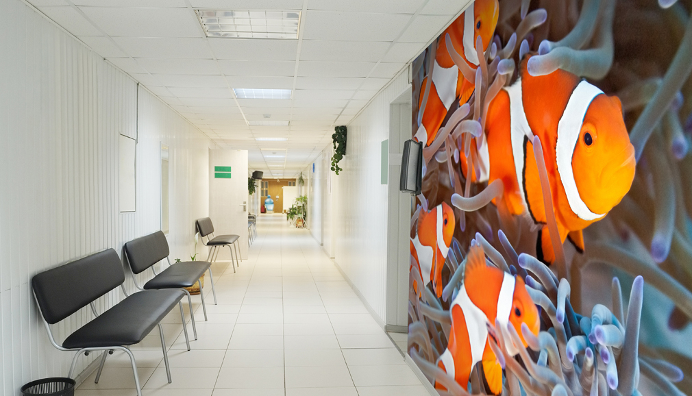 fish mural in hospital corridor